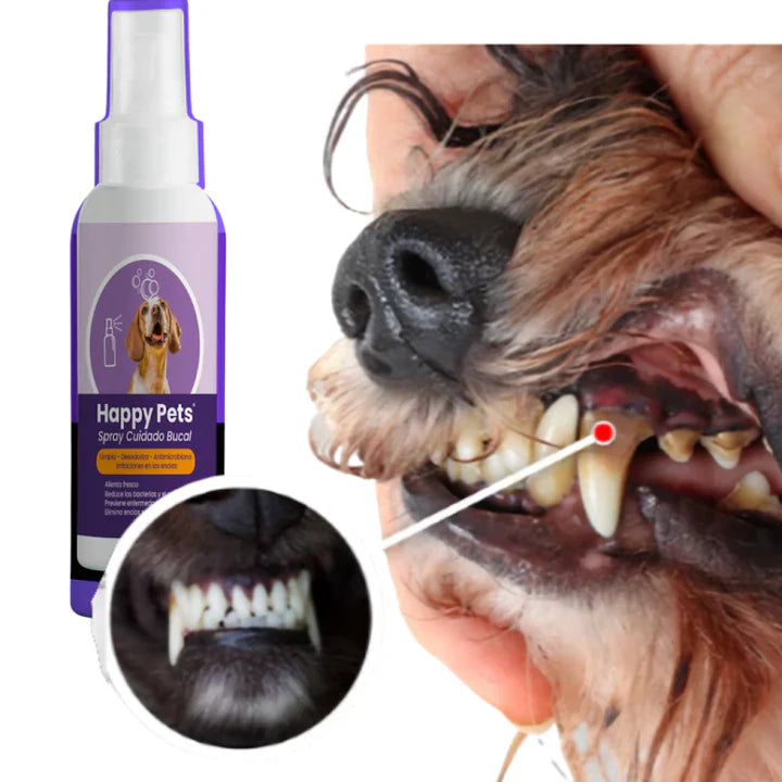 HAPPY PETS™ - ENJUEGUE BUCAL MASCOTAS